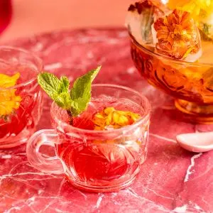 low-carb-blueberry-ginger-rum-punch