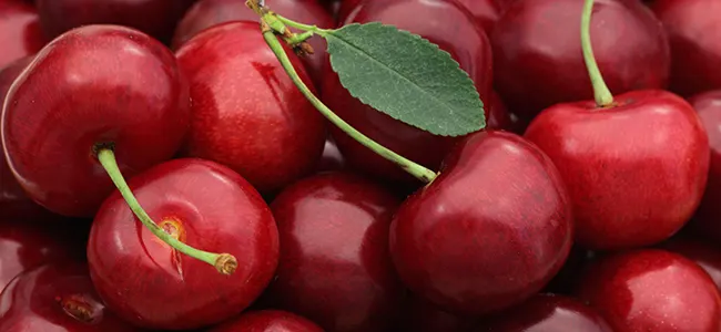 List of 8 Low Carb Vegetables &amp; Fruits